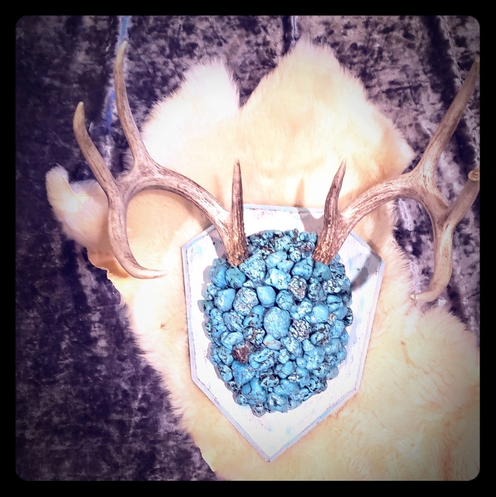 Deer antlers